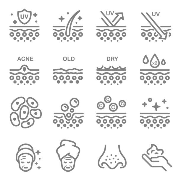 Skin Layer Vector Line Icons. Contains such Icons as Acne, Dry, Moisturizer, Pimple, Cells and more. Expanded Stroke. Skin Layer Vector Line Icons. Contains such Icons as Acne, Dry, Moisturizer, Pimple, Cells and more. Expanded Stroke. skin stock illustrations