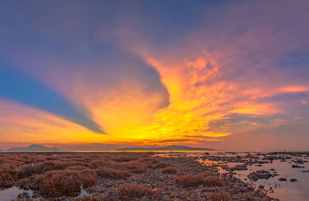 istock wonderful sky above the coral reef 1072378924