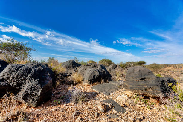 istock Namib desert, Namibia Africa landscape 1072382174