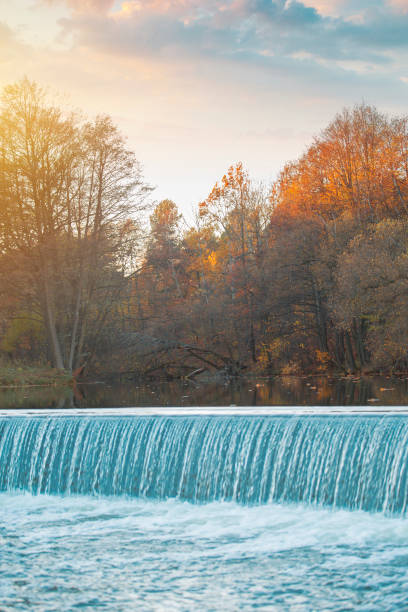 istock autumn forest by the lake 1072392994