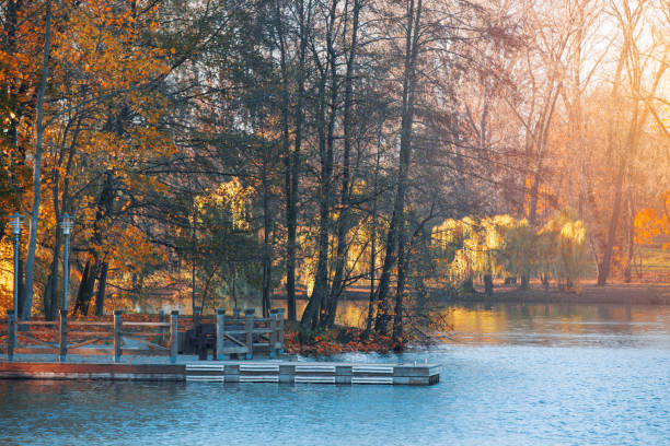 istock autumn forest by the lake 1072393052