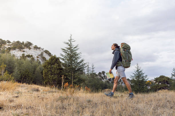 istock Search Road in Nature 1072393398