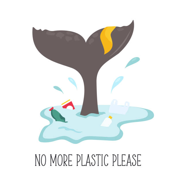 ilustrações de stock, clip art, desenhos animados e ícones de eco poster. whale tale and the splash of water with garbage. environment protection. no more plastic - iceberg banner animal bird