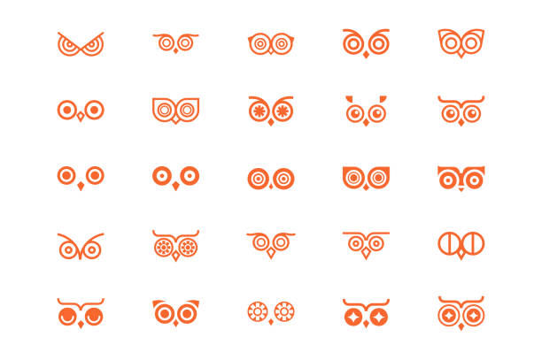 Owl eye line icon collection. Set of outline owls and emblems design elements for schools, educational signs. owl illustrations stock illustrations