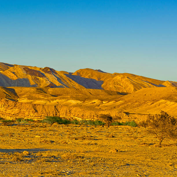 istock Desert in Israel 1072400038