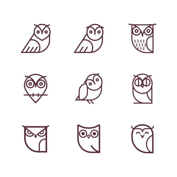 illustrations, cliparts, dessins animés et icônes de collection d’icônes de ligne chouette. - owl