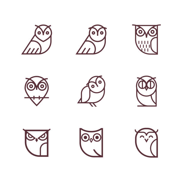 illustrazioni stock, clip art, cartoni animati e icone di tendenza di raccolta di icone della linea gufo. - owl