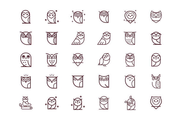 Owl line icon collection. Set of outline owls and emblems design elements for schools, educational signs. owl stock illustrations