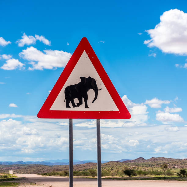 istock Elephants crossing road warning sign, Damaraland, Namibia 1072406266