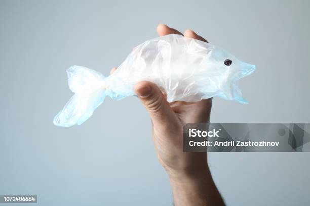 Plastic Animals In The Oceans The Problem Of Manmade Pollution Of Nature  Stock Photo - Download Image Now - iStock