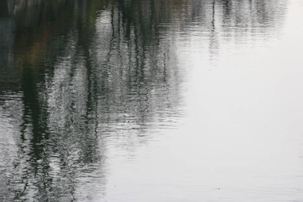 istock reflex in the river Ljubljanica 1072413070
