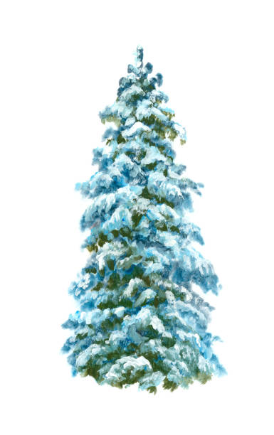 istock Christmas tree in the snow, watercolor painting isolated on white 1072413122