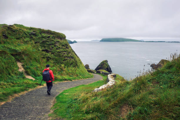 junge mann geht weg von der irischen landschaft umgeben - backpacker green vacations outdoors stock-fotos und bilder