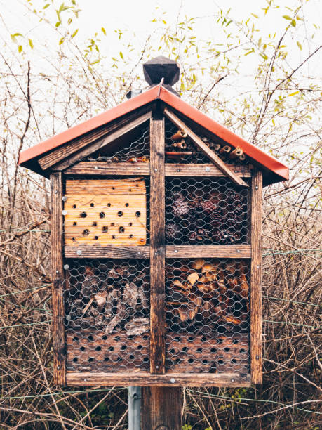 istock Natural Insect Hotel during autumn 1072417092