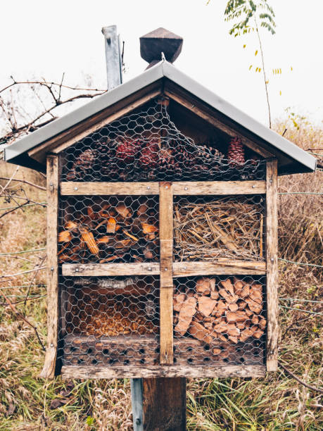 istock Natural Insect Hotel during autumn 1072417212