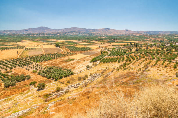 istock Landscape with olive trees and mountains on the background. 1072418100