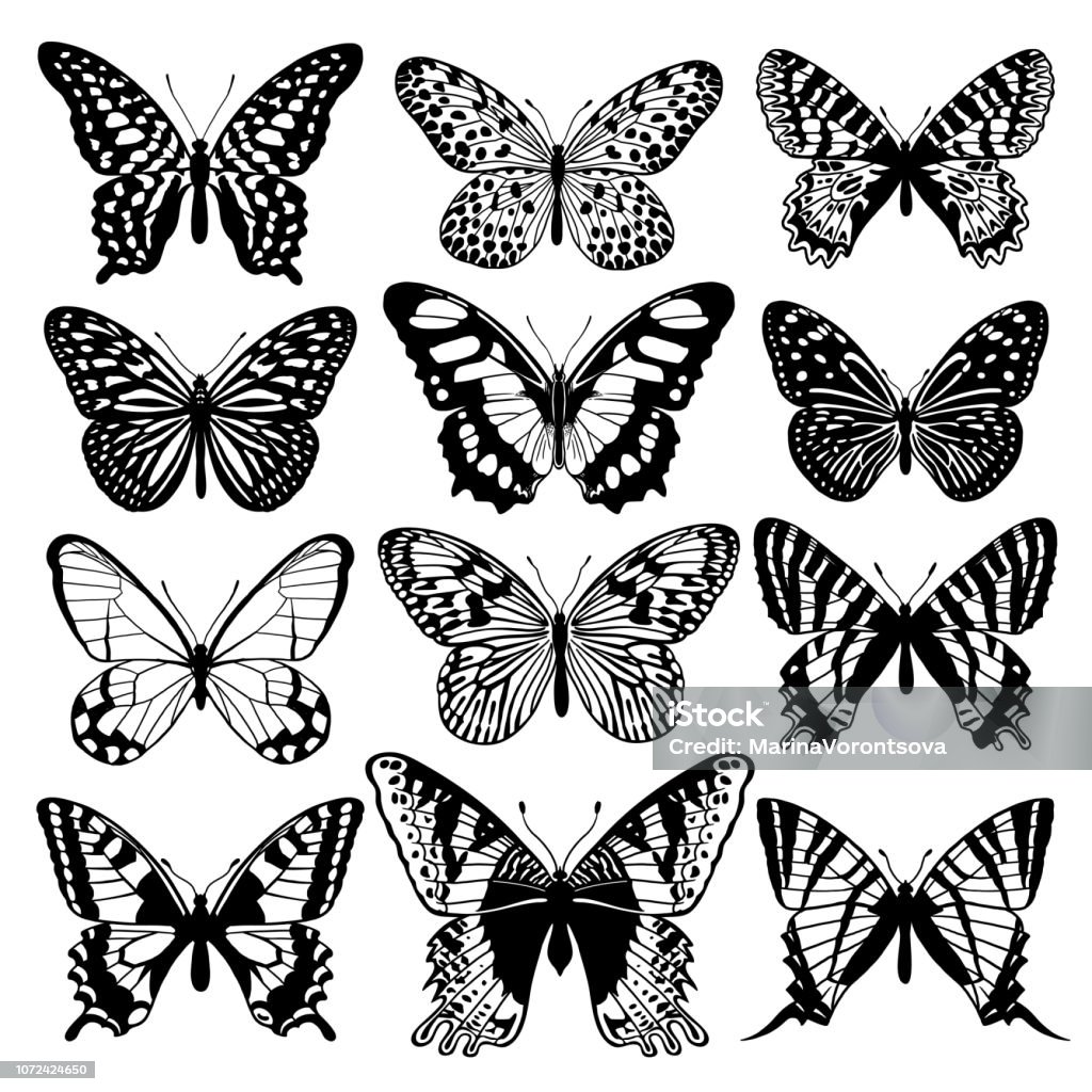 Ensemble de papillons résumé graphique. Noir et blanc - clipart vectoriel de Papillon libre de droits