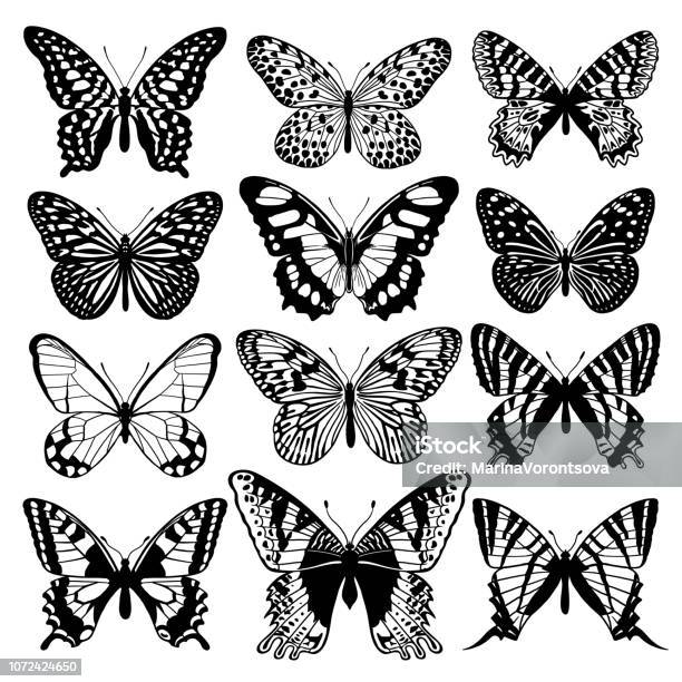 Ensemble De Papillons Résumé Graphique Noir Et Blanc Vecteurs libres de droits et plus d'images vectorielles de Papillon