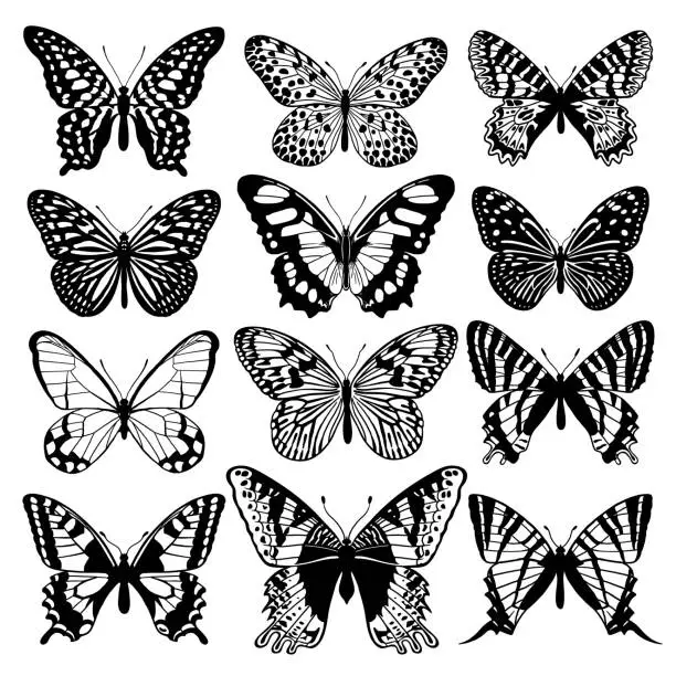 Vector illustration of Graphic abstract butterflies set. Black and white