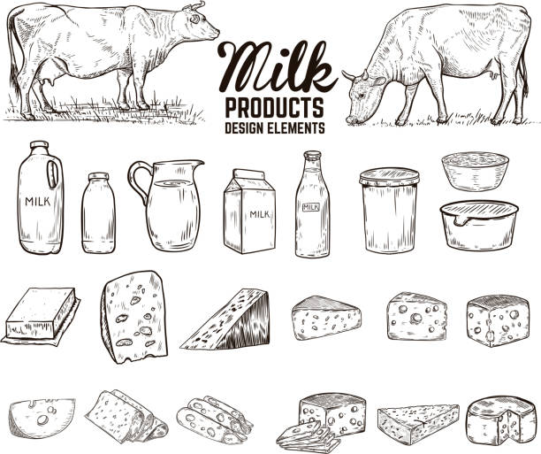 satz von hand gezeichnet-milch-produkte-design-elemente. butter, käse, saurer sahne, joghurt, kühe. für paket, plakat, schild, banner, flyer. - milchprodukte stock-grafiken, -clipart, -cartoons und -symbole