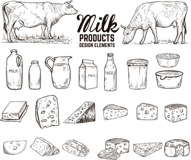 ilustrações de stock, clip art, desenhos animados e ícones de set of hand drawn milk products design elements. butter, cheese, sour cream, yogurt, cows. for package, poster, sign, banner, flyer. - milk milk bottle bottle glass