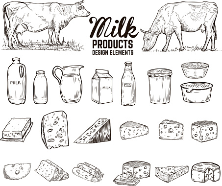 Set of hand drawn milk products design elements. butter, cheese, sour cream, yogurt, cows. For package, poster, sign, banner, flyer. Vector illustration