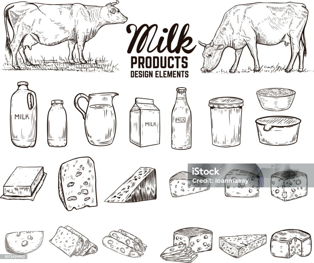Set of hand drawn milk products design elements. butter, cheese, sour cream, yogurt, cows. For package, poster, sign, banner, flyer. Set of hand drawn milk products design elements. butter, cheese, sour cream, yogurt, cows. For package, poster, sign, banner, flyer. Vector illustration Milk stock vector