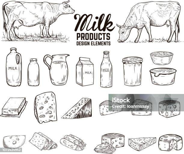 Set Of Hand Drawn Milk Products Design Elements Butter Cheese Sour Cream Yogurt Cows For Package Poster Sign Banner Flyer Stock Illustration - Download Image Now