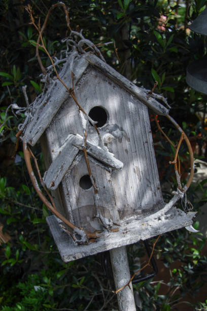 istock decorative birdhouse close up. 1072433130