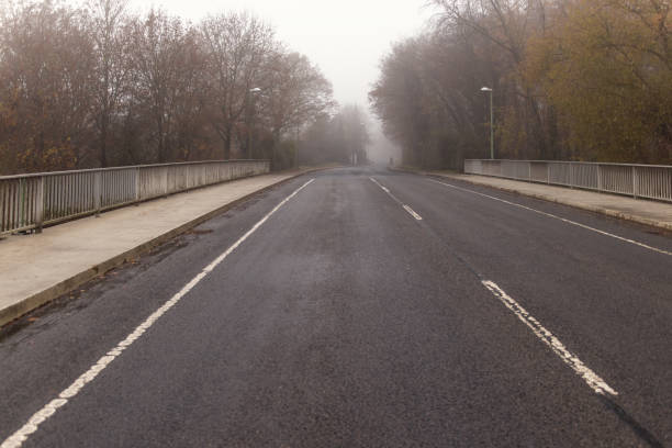 istock Tree lined empty wide road on a foggy autumn day 1072435306