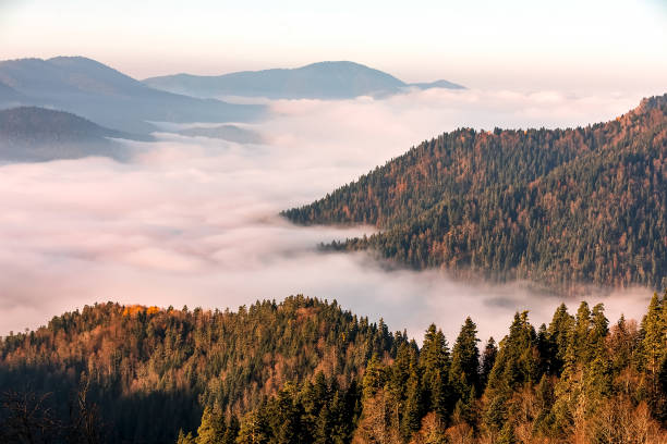 istock Fog and Autumn at Seven Lakes in Turkey 1072436364