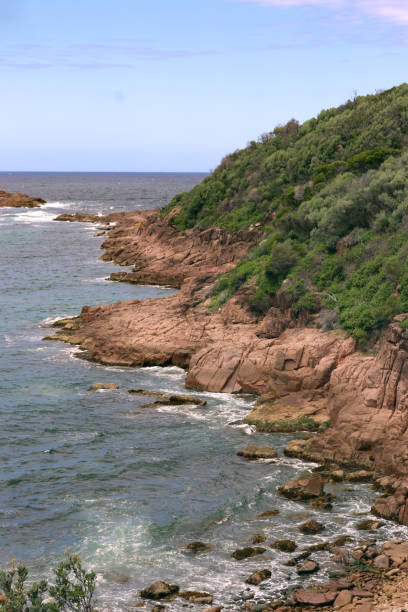 istock Fingal Bay headland in portrait 1072439146
