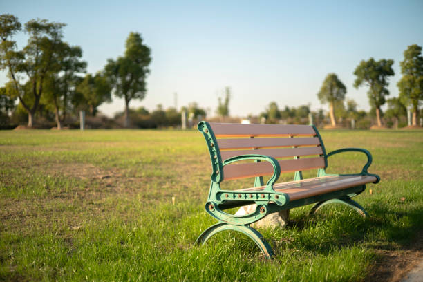 istock park bench on lawn at sunset 1072442660