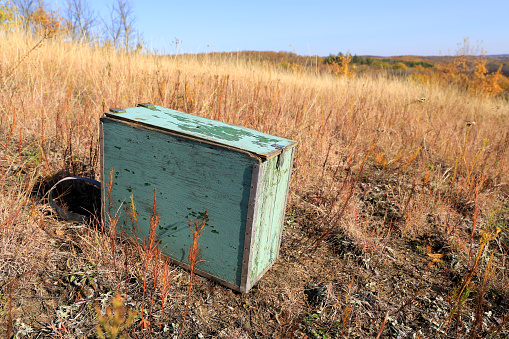 old wooden box in autumn grass