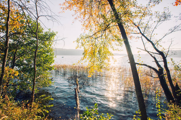 Colorful leaves around. Sun reflecting in lake surface