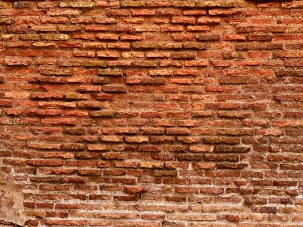 istock Natural old brick background texture close up 1072460642