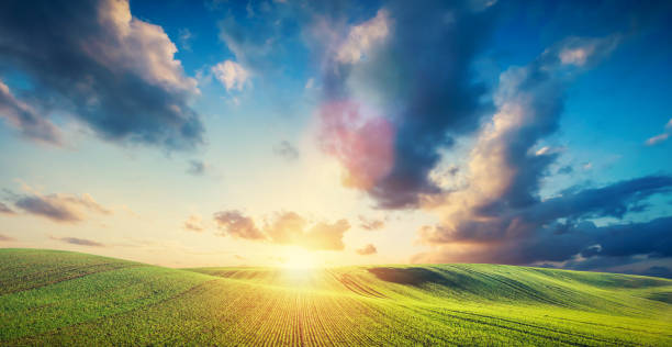istock Green field landscape and sunset. 1072462008