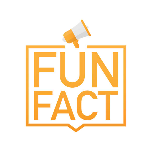 Hand holding megaphone - Fun fact. Vector illustration. Hand holding megaphone - Fun fact. Vector stock illustration. fact bubble stock illustrations