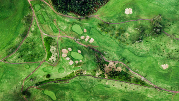 istock Top view of green grass golf course 1072469820