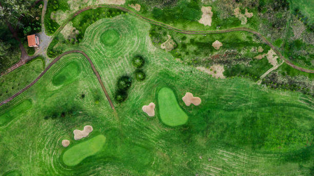 istock Top view of green grass golf course 1072469826