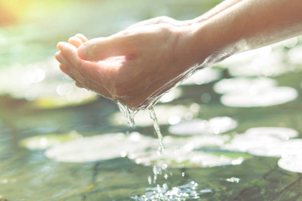 istock Hands in cupped form getting water from a lake or fountain 1072470960