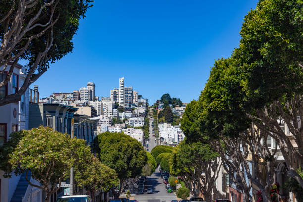 istock San Francisco Residential Districts View, California 1072471432