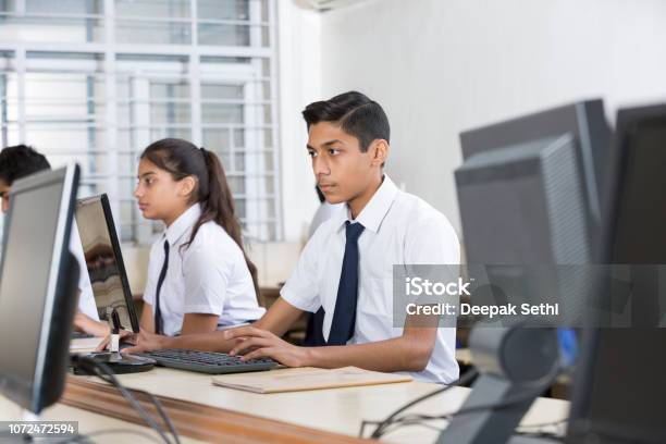 Students Learning Computer Programming Stock Image Stock Photo ...