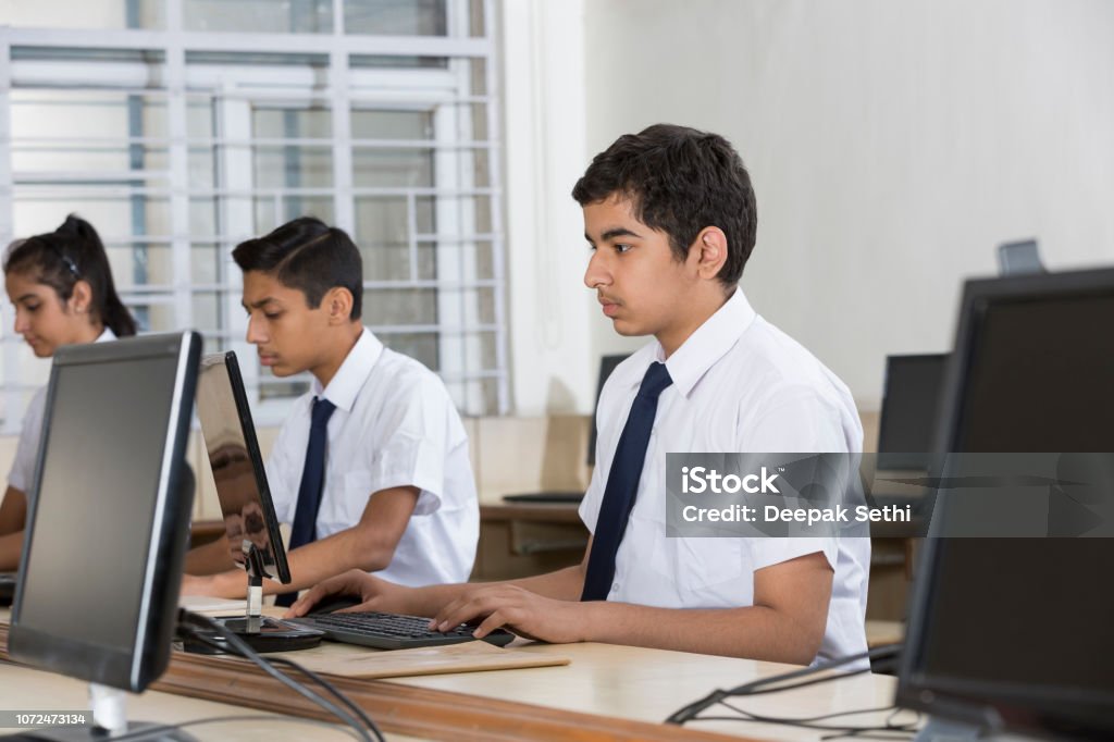 Students Learning Computer Programming Stock Image Stock Photo ...