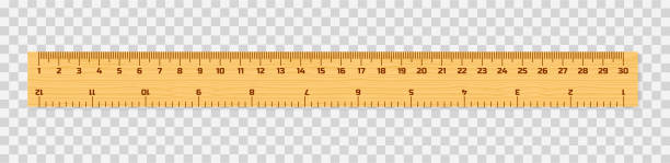 zestaw drewnianych władców 15, 20 i 30 centymetrów z cieniami izolowanymi na białym. narzędzie pomiarowe. przybory szkolne. ilustracja wektorowa. - ruler wood measuring instrument of measurement stock illustrations