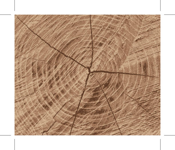 Wood texture Wood texture shades of brown background stock illustrations