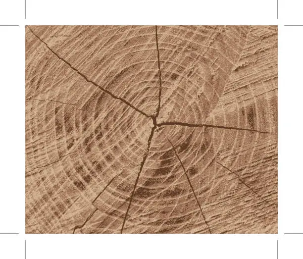 Vector illustration of Wood texture