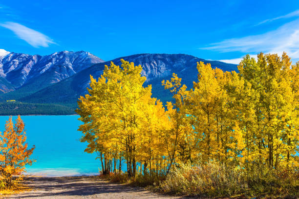 istock Abraham lake with a turquoise water 1072489600