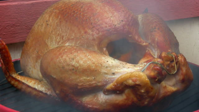 HD 1080i Smoked Turkey 4