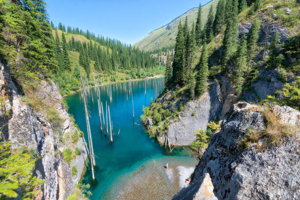 lago kaindy em south east cazaquistão, tirada em agosto de 2018 em hdr - alatau - fotografias e filmes do acervo